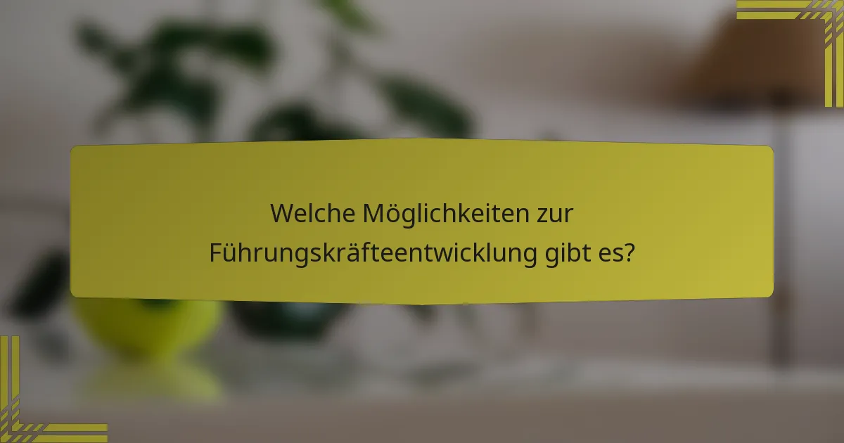 Welche Möglichkeiten zur Führungskräfteentwicklung gibt es?