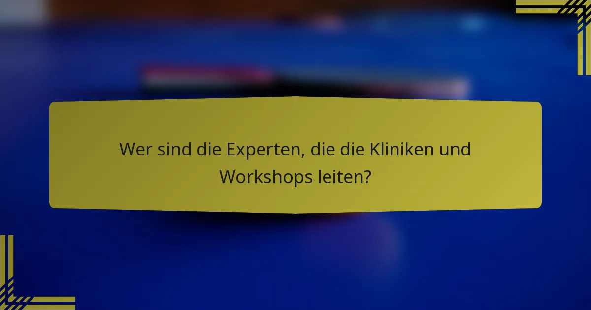 Wer sind die Experten, die die Kliniken und Workshops leiten?